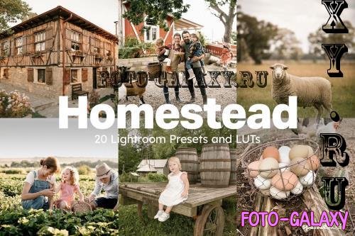 20 Homestead Lightroom Presets LUTs - 284340401