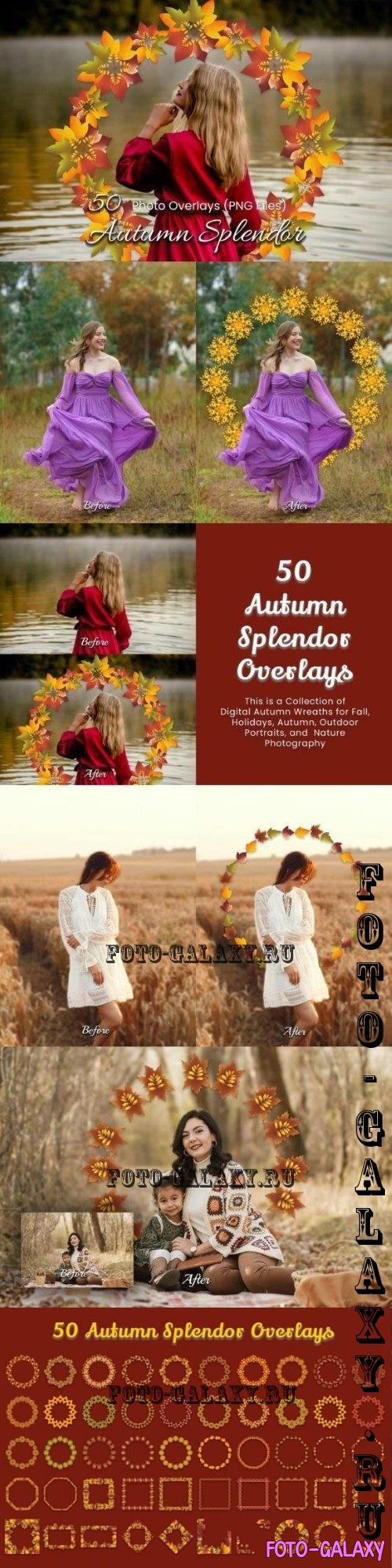 50 Autumn Splendor Overlays - 285062108