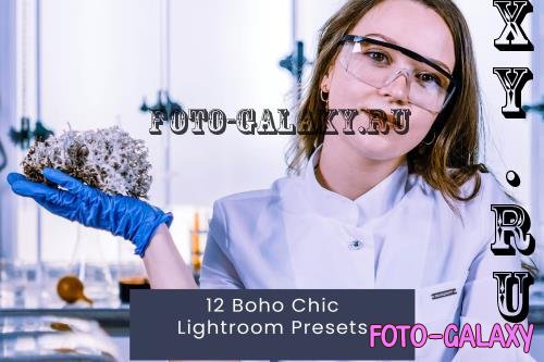 12 Boho Chic Lightroom Presets - UZCN3DK