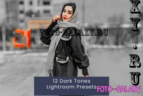 12 Dark Tones Lightroom Presets - QFSS3Y2