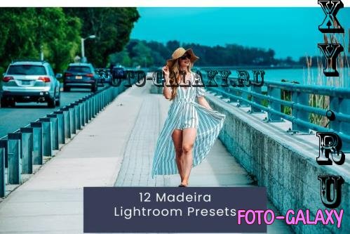 12 Madeira Lightroom Presets - CERCHEU