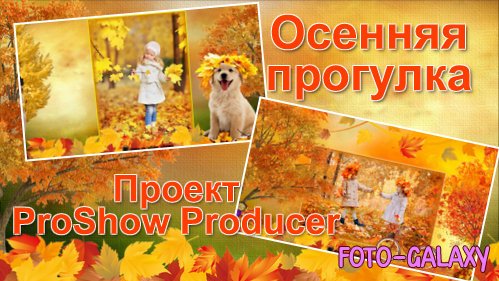    ProShow Producer -  