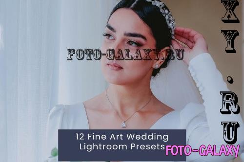 12 Fine Art Wedding Lightroom Presets YPANTSX