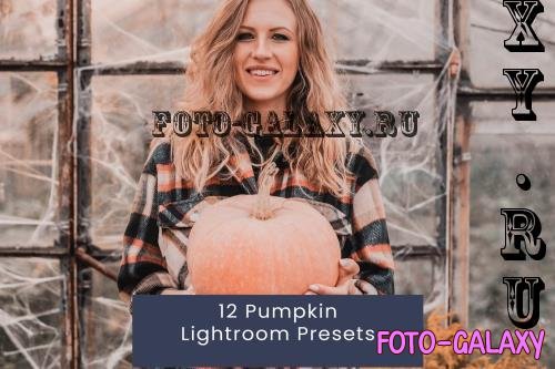 12 Pumpkin Lightroom Presets - 8PMSHCH