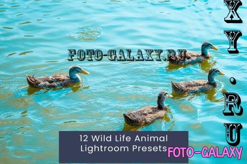 12 Wild Life Animal Lightroom Presets - GKQV2BY