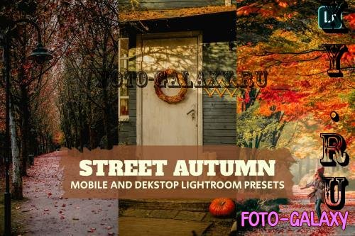 Street Autumn Lightroom Presets Dekstop and Mobile - A2RS676