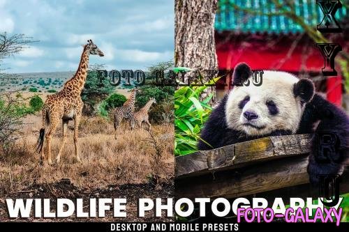 Wildlife - Desktop and Mobile Presets - NNGSCBZ