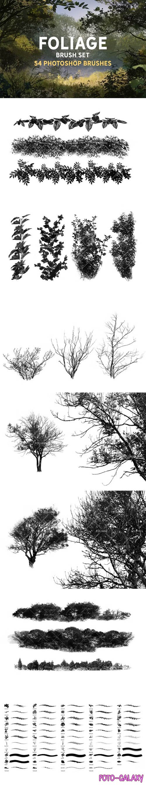 Foliage Brush Set - 54 Photoshop Brushes