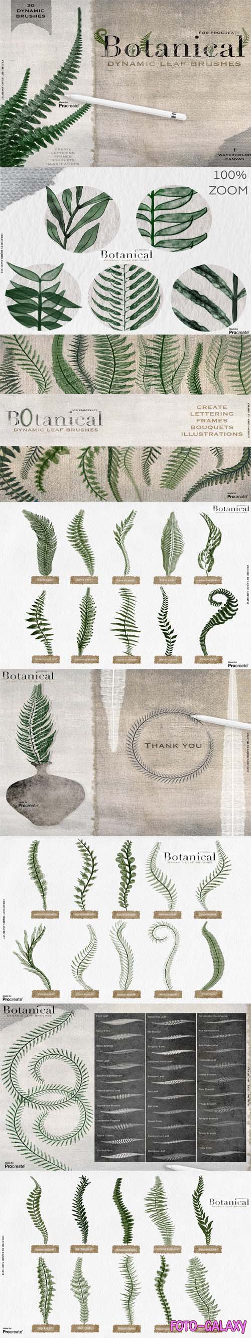 Botanical - 30 Dynamic Leaf Brushes for Procreate