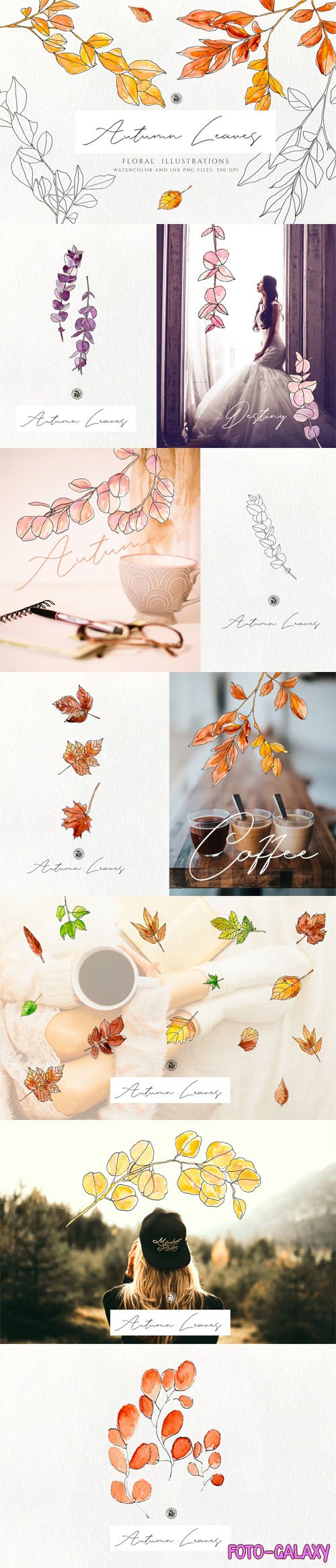 Autumn Leaves - 30 Watercolor Floral Illustrations