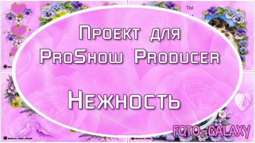   ProShow Producer -  