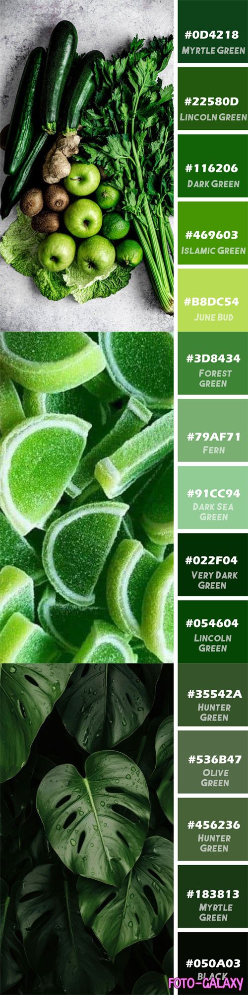 Green Color Palette Swatches & Layer Styles for Photoshop