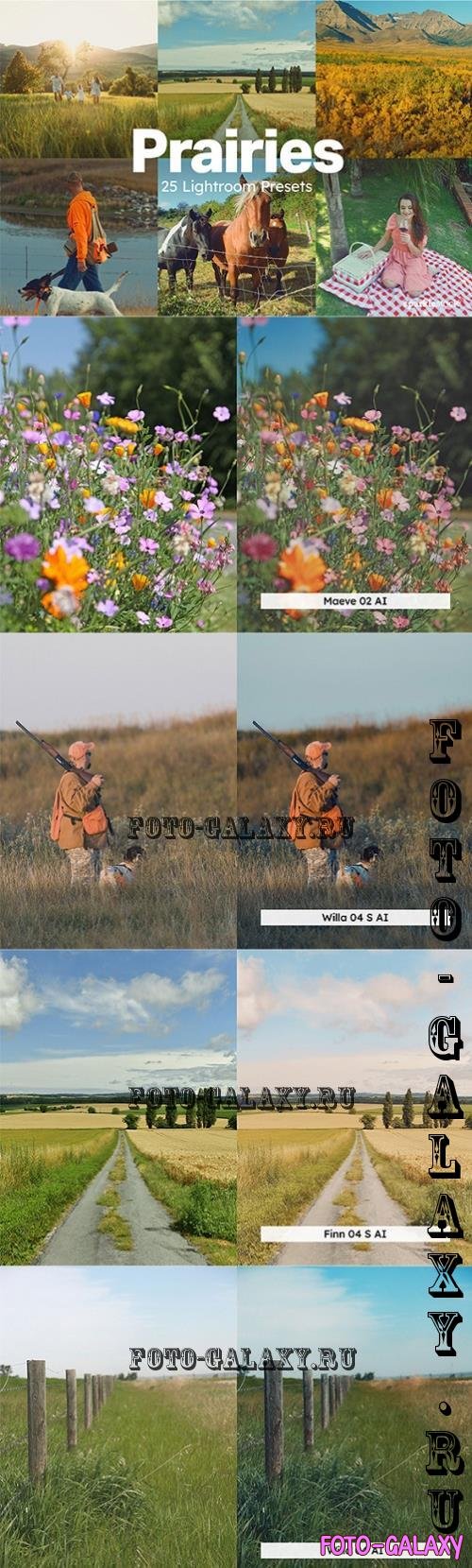 20 Prairies Lightroom Presets LUTs - 287591669