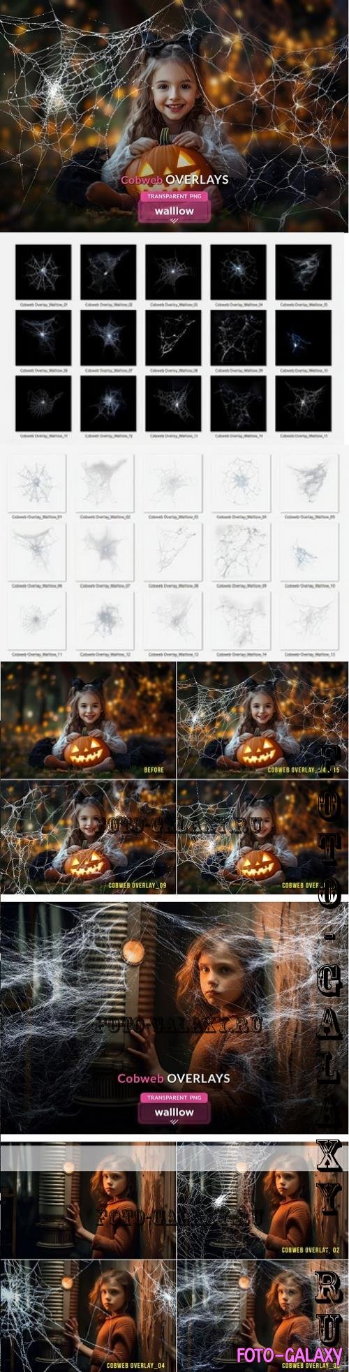 Cobweb PNG Overlay Halloween Clipart - 287852563