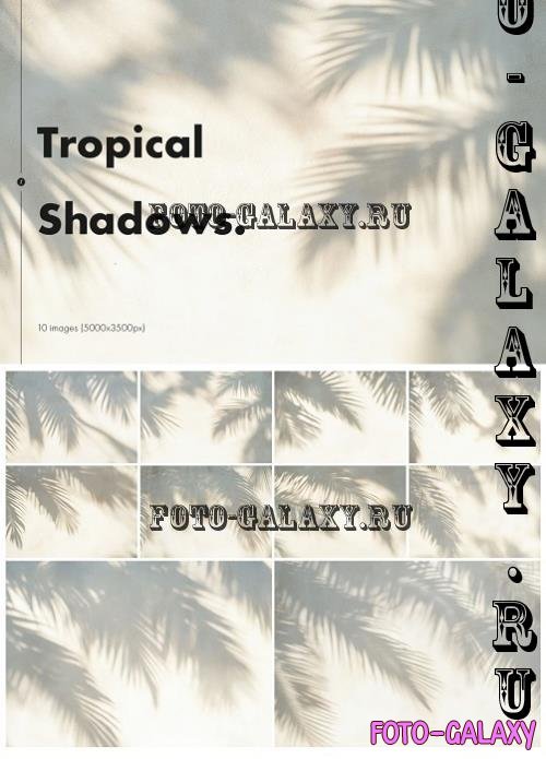 Tropical Shadows Backgrounds - 9UYED5F