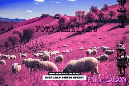 Infrared Photo Effect - 288825281