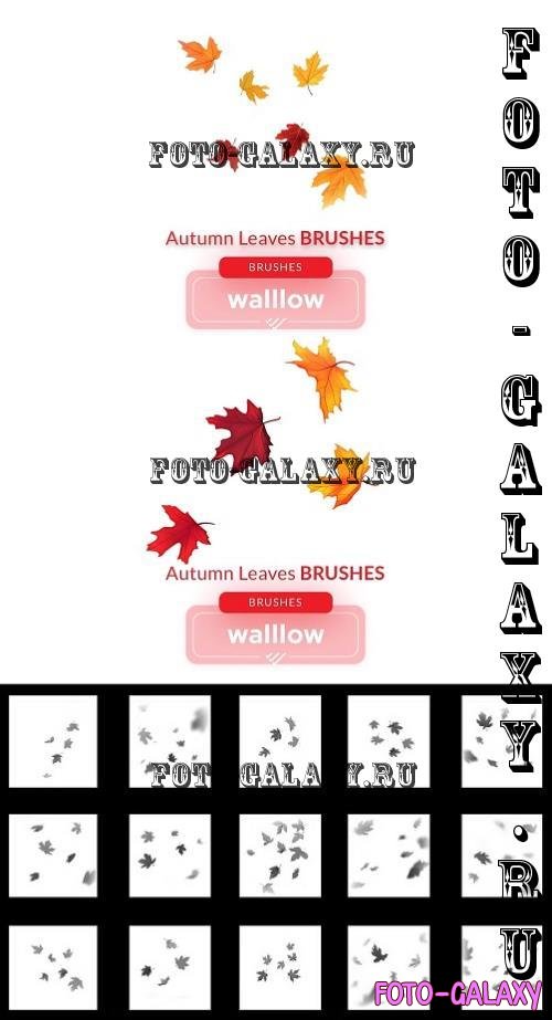 Autumn Fall Leaves Photoshop Brushes - 287443661