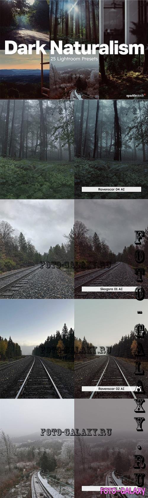 20 Dark Naturalism Lightroom Presets - 288993701