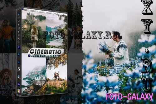 Cinematic Presets And luts Video Premiere Pro - BALE795