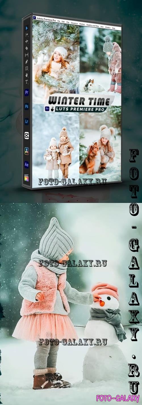 Winter Time Presets And luts Video Premiere Pro - 47754TX