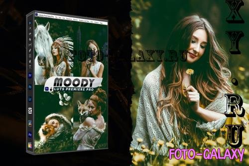 Moody Portrait Lightroom Presets & luts Premiere  - LBU7CA3