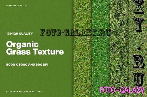 12 Organic Grass Textures - W2ZRN6B