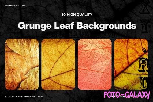 Grunge Leaf Background - N4RBFGN