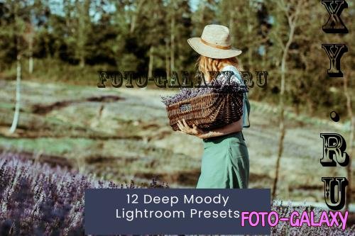 12 Deep Moody Lightroom Presets - NBF6XNX