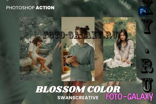 Blossom Color Photoshop Action - E75PFZW