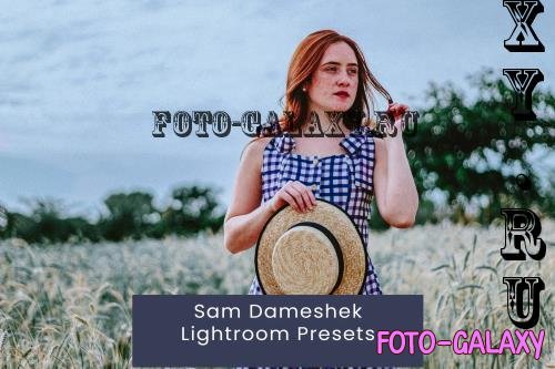 Sam Dameshek Lightroom Presets - 8HM79RQ