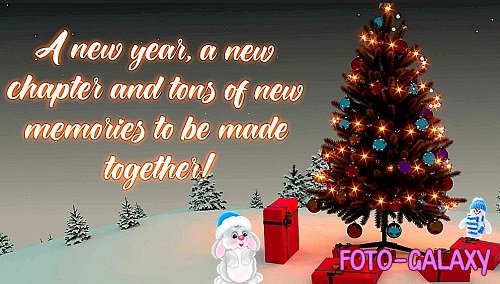 New Year Wishes And Greetings 3006874 - After Effects Templates