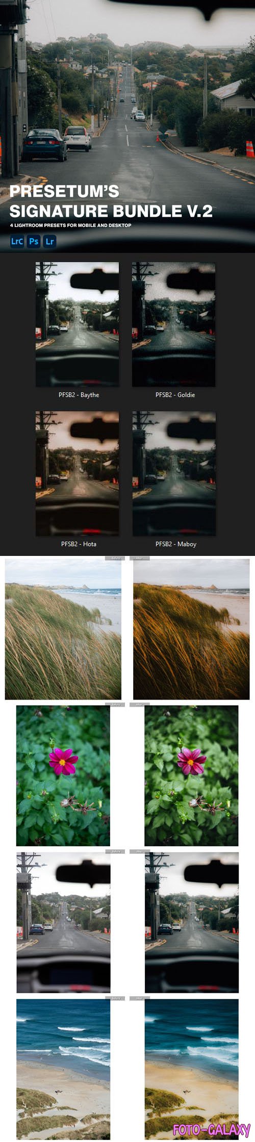 Signature Bundle - Lightroom Presets for Mobile and Desktop