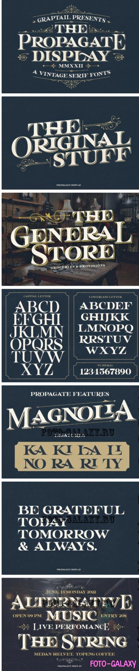 Propagate - Vintage Serif - 7337091