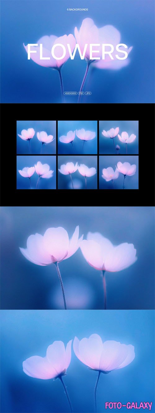 Abstact Blurred Flower Textures - PSD Template