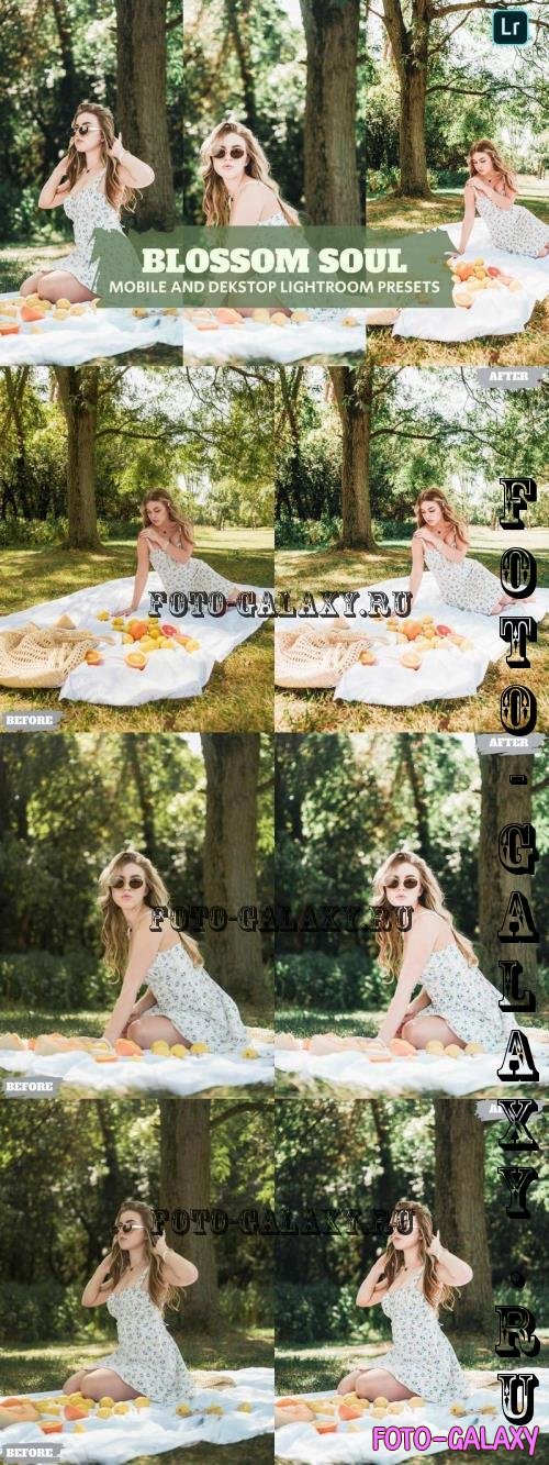 Blassom Soul Lightroom Presets Dekstop and Mobile - Y72ZBUH