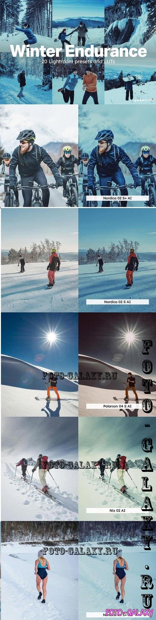 20 Winter Endurance Lightroom Preset - 290835350 - J7Z5PHR