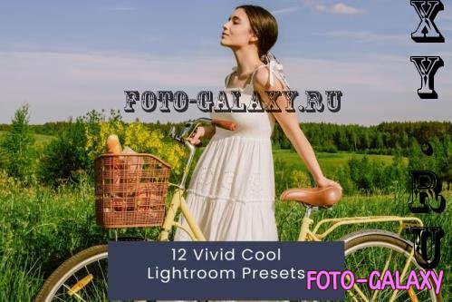 12 Vivid Cool Lightroom Presets - ET9LDC2