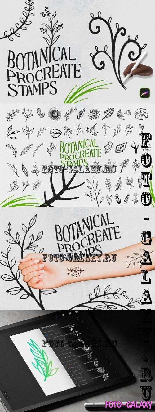 Botanical Procreate Stamp Brushes - 290763728 - JHRGEY8