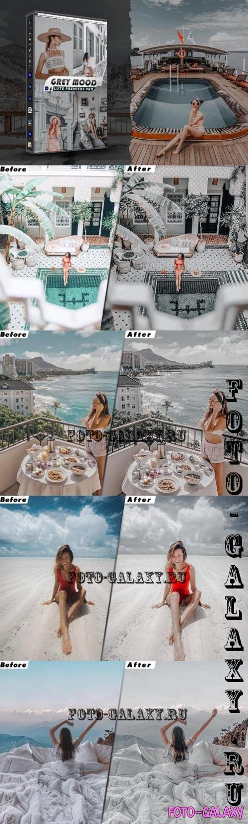 Grey Moody Presets And luts Video Premiere Pro - VP5LYZP