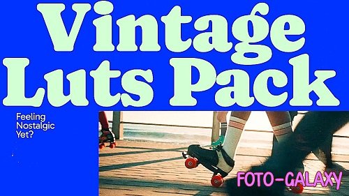 Vintage Luts 3048489 - Premiere Pro/After Effects/FCP/DaVinci Resolve