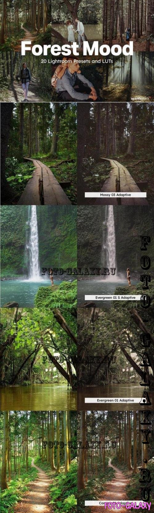 20 Forest Mood Lightroom Presets and LUTs - 290927443 - GUEPKUS