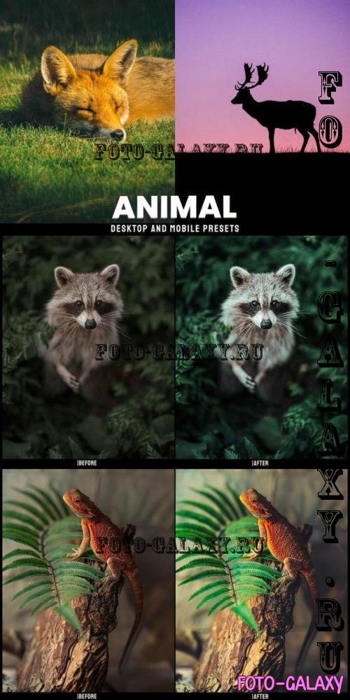 Animal  Desktop and Mobile Presets - AW9MT4N