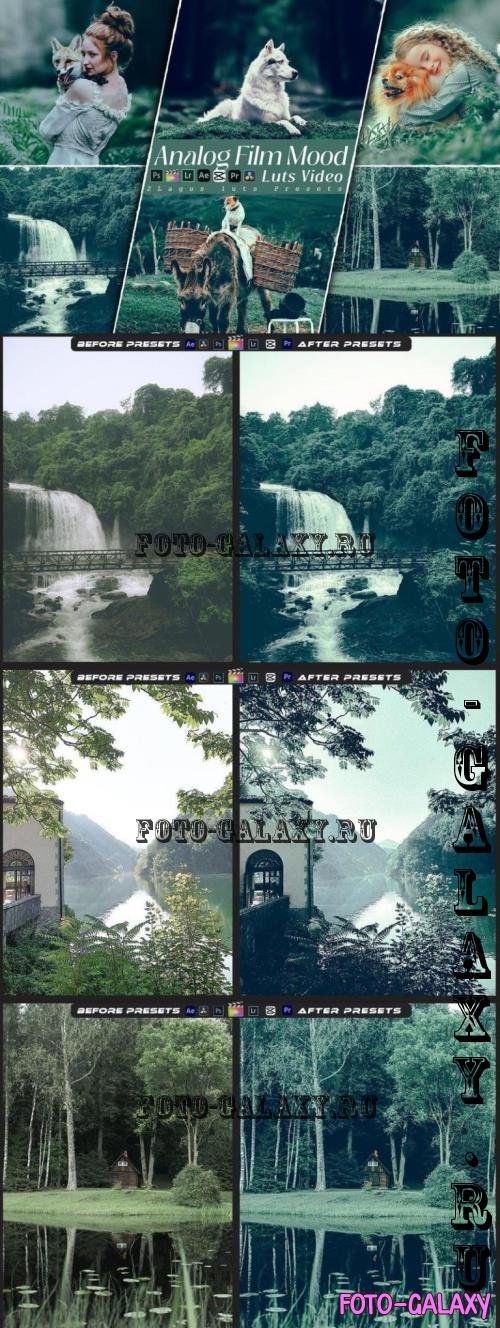 Analog Film Mood Lightroom Preset & Luts Premiere - KW8SF7H