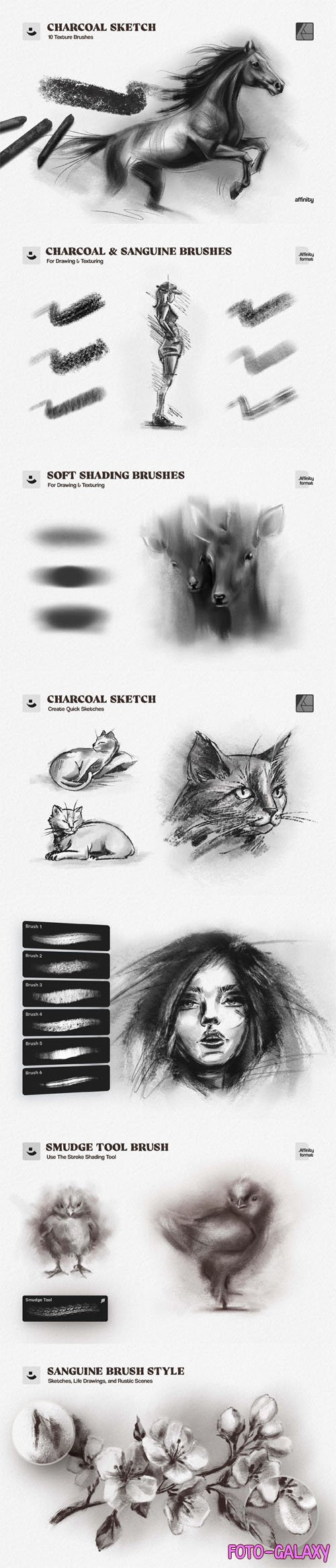 10 Charcoal Sketch Affinity Brushes