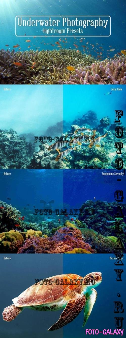 Underwater Photography Lightroom Presets - 7SPTEQL