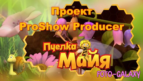    ProShow Producer -  