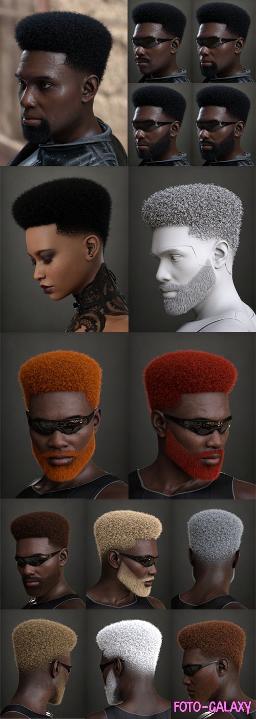 Daz3d - Faded Afro Hair and Beard for Genesis 9