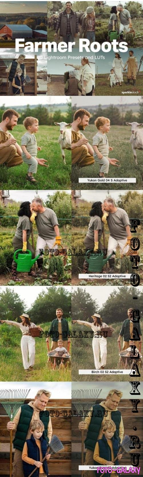 20 Farmer Roots Lightroom Presets and LUTs - 6HS784T