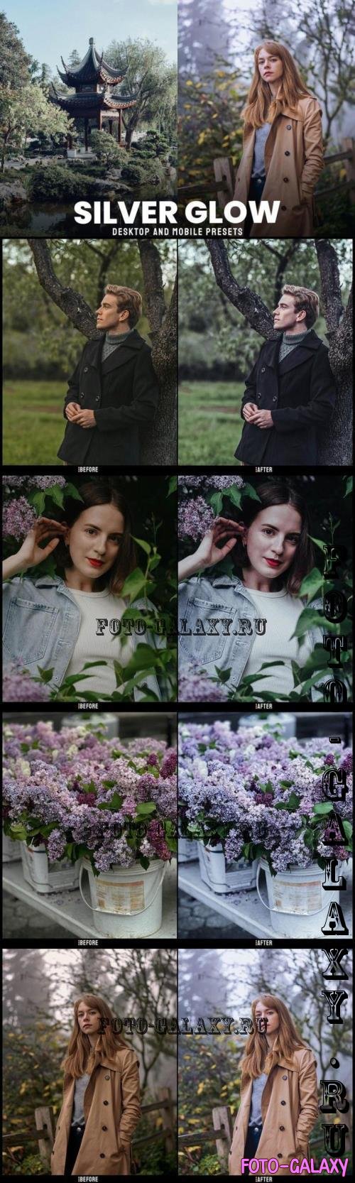 Silver Glow - Desktop and Mobile Presets - HT4NCYQ
