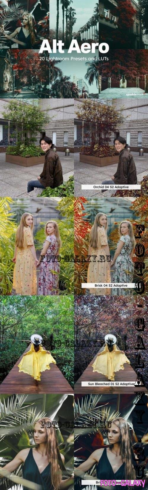 20 Alt Aero Lightroom Presets LUTs - 291112496 - C33FCZ2